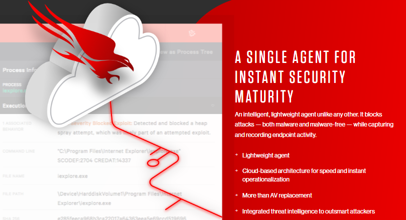 CrowdStrike Falcon Screenshot 2
